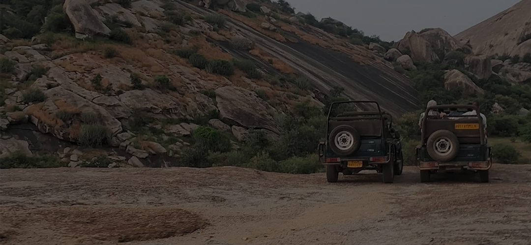 resort in jawai