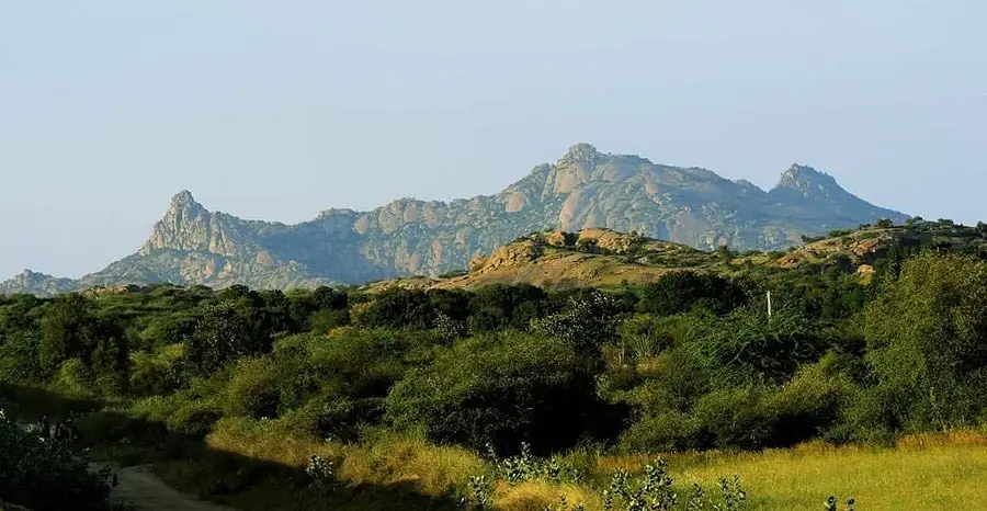 Jawai Hills
